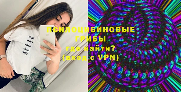 гашик Алзамай