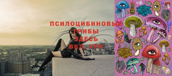 гашик Алзамай