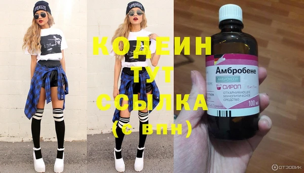 гашик Алзамай
