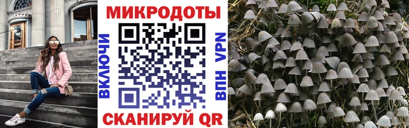 Галлюциногенные грибы Psilocybe  сколько стоит  Задонск 
