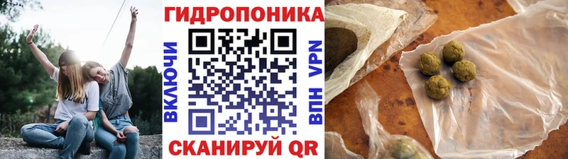 купить  цена  Задонск  OMG   Марихуана гибрид 
